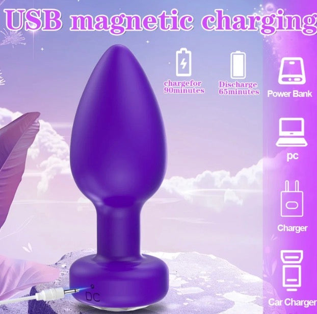 APP Butt Plug Anal Vibrator